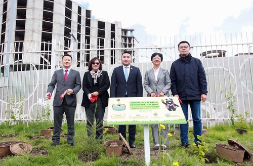 Хөрсөнд задарч шингэдэг эко хувин ашиглан мод тарилаа